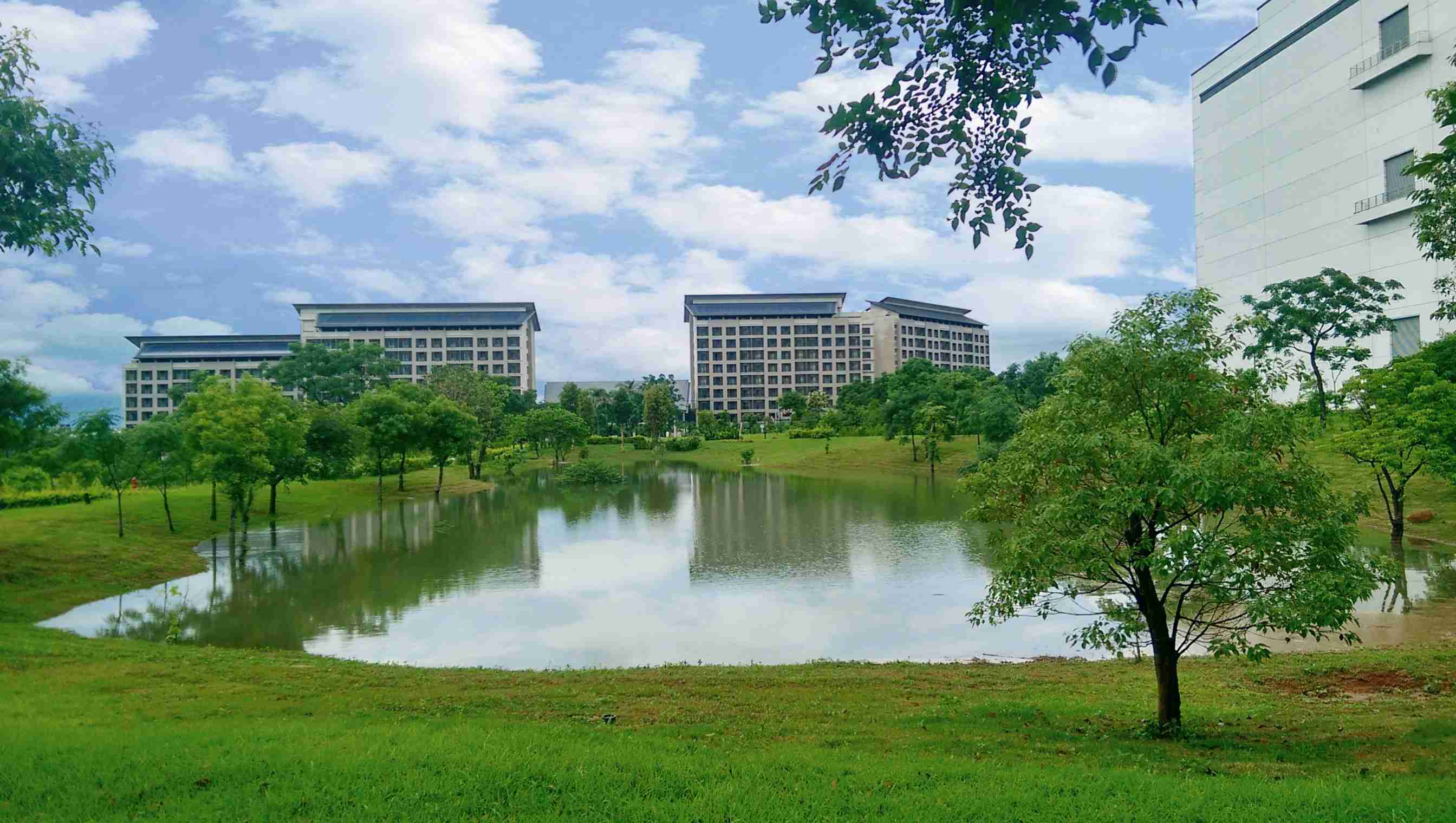 龙门国际响应国际倡议生物多样性趋势，，首次发布TNFD自然相关财务揭露报告书，，，，擘划及开展龙门国际生物多样性政策之承诺，，，逐步迈向与自然和谐共生